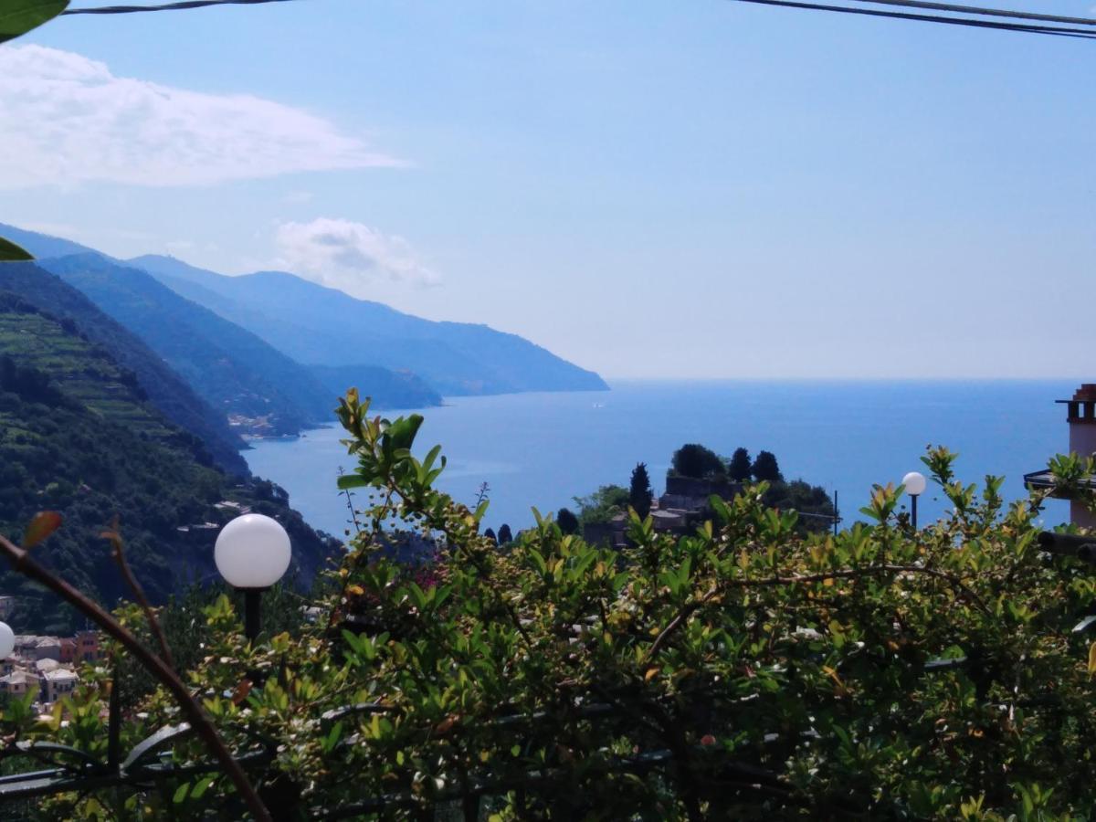 La Cabana Cinque Terre Monterosso Monterosso al Mare Eksteriør billede