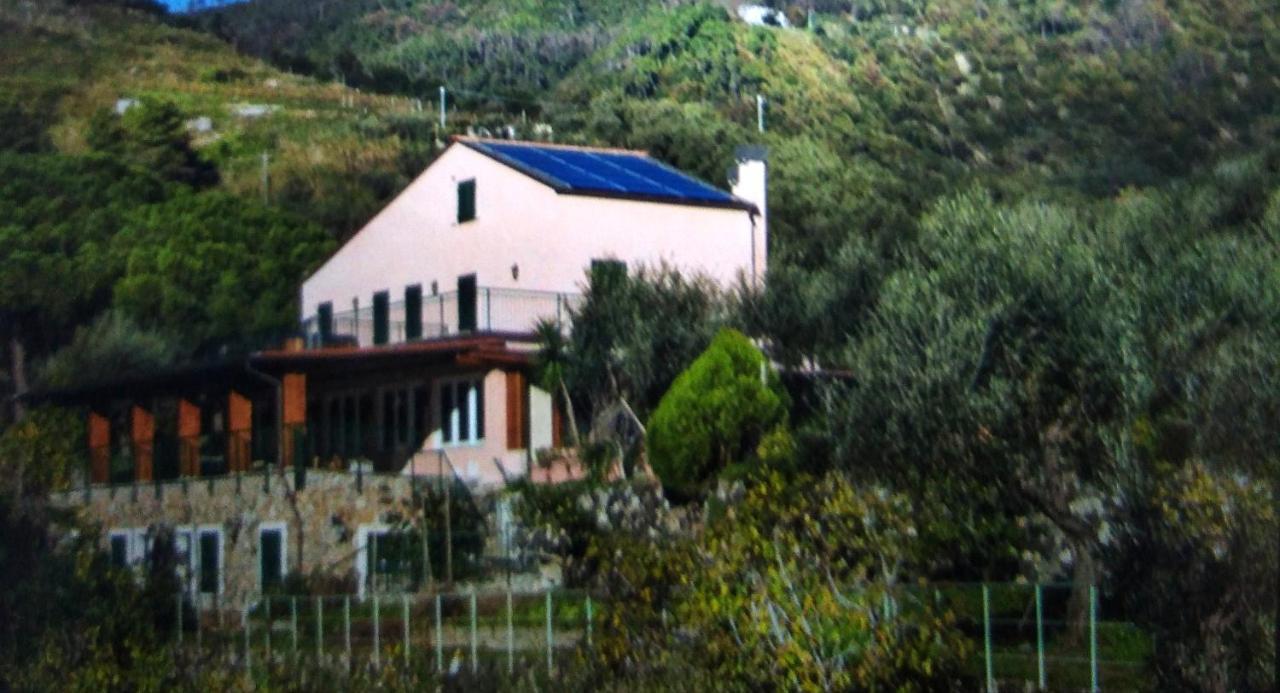 La Cabana Cinque Terre Monterosso Monterosso al Mare Eksteriør billede