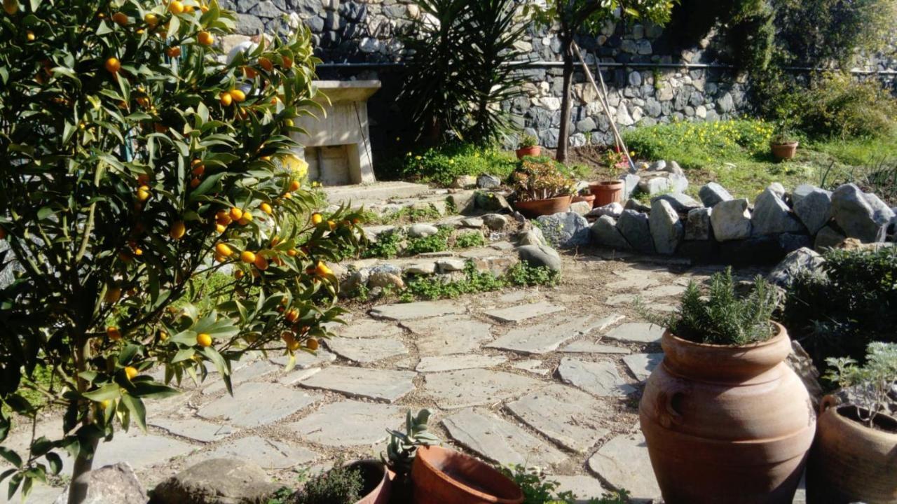 La Cabana Cinque Terre Monterosso Monterosso al Mare Eksteriør billede